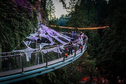 Capilano Bridge+Granville Isl+ Capilano Hatchery+Lynn Canyon Tour