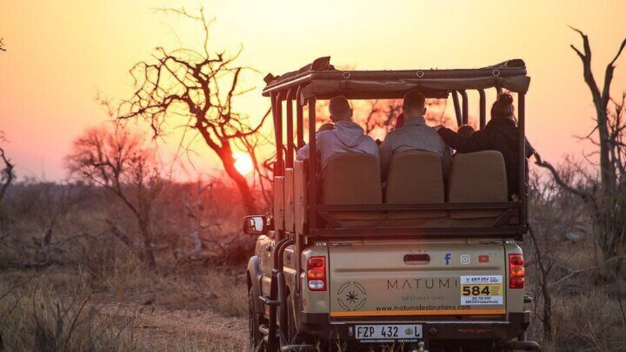 Kruger National Park Full Day Safari