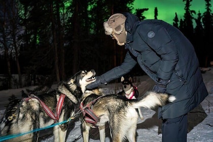 Aurora Activity at Sluice Box Sled Dogs