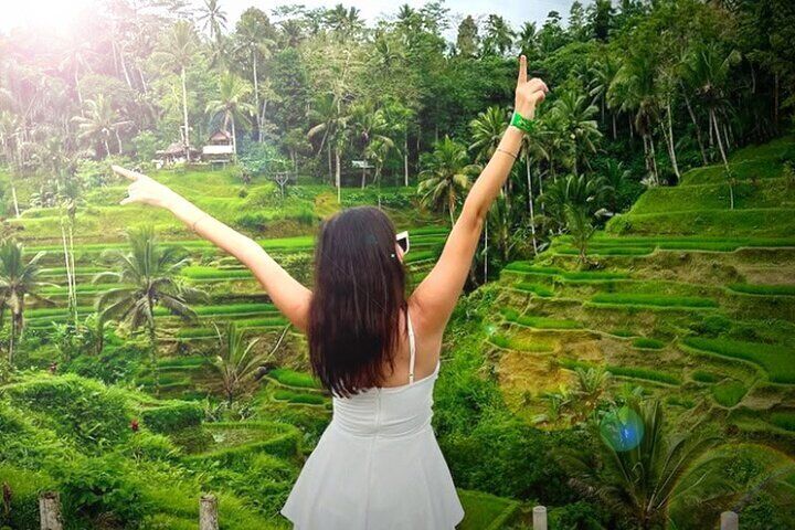 Ubud Tour Package: Waterfall, Tirta Empul Temple, Rice Terrace 