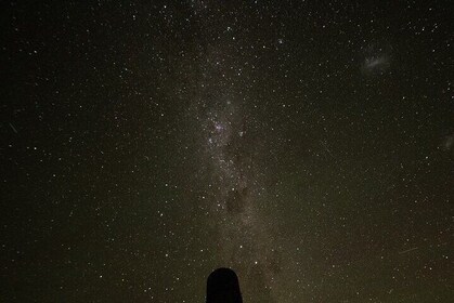 5 Day South Island Tour from Queenstown including Stewart Island