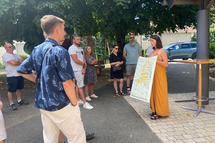 Wine cellar visit and wine tasting