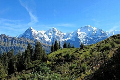 Private Swiss Alps Tour Interlaken Lauterbrunnen and Grindelwald