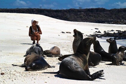 5 days Galapagos hightlights express