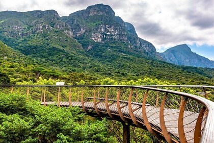 Cape Town Garden Entry Kirstenbosch Botanical Experience