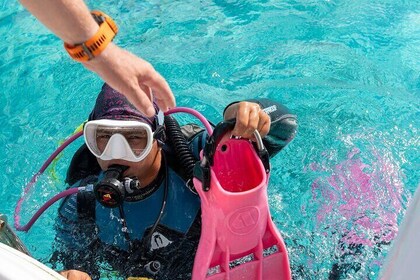 Private Two-Tank Shore Dive for Solo Cruise Travelers in Bonaire