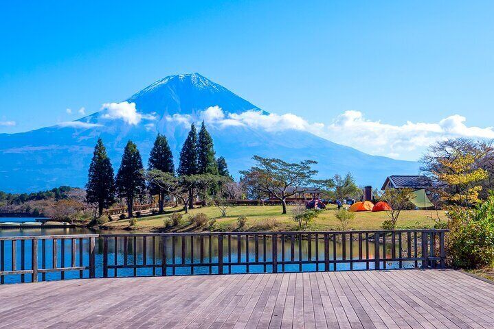Private Shore Tour: Mt. Fuji Highlights from Shimizu Port