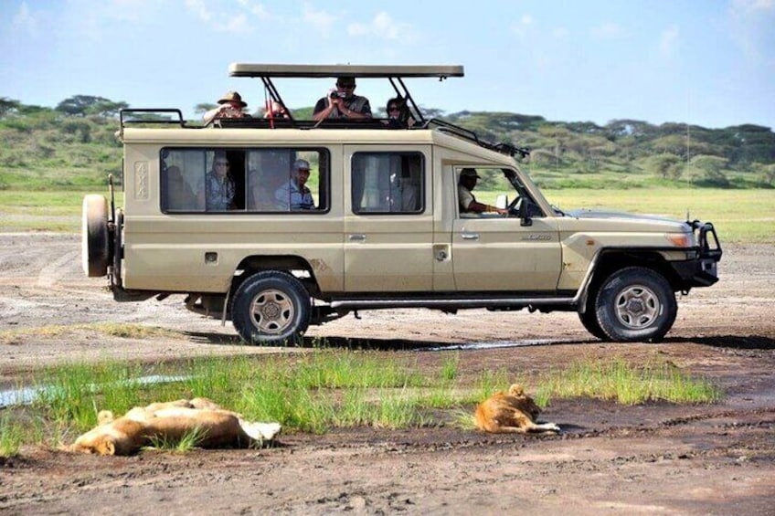 4WD Land Cruiser JEEP for a wonderful safari