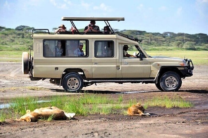 7-Day Private 4 star lodges Safari by 4x4 Land Cruiser Jeep from Nairobi