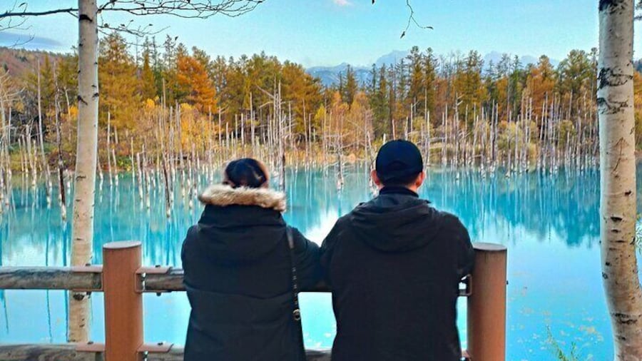 Asahiyama Zoo, Shirahige Falls, Biei, and Blue Pond Day Tour