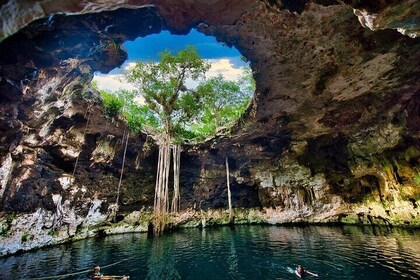 Magic Cenotes of Yucatan from Merida