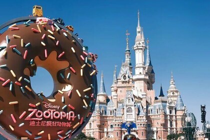 Shanghai Disneyland Private Group One-day Trip