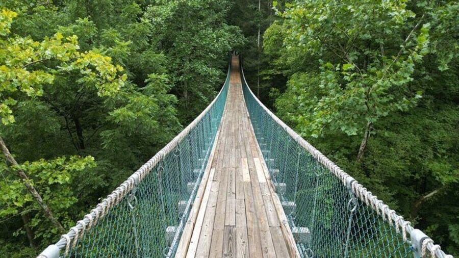 Cross The Bridge to Propserity!