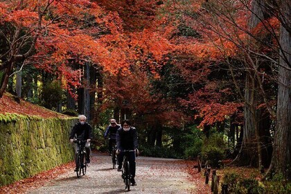 傳統的京都全日自行車之旅和可選的清酒品嚐