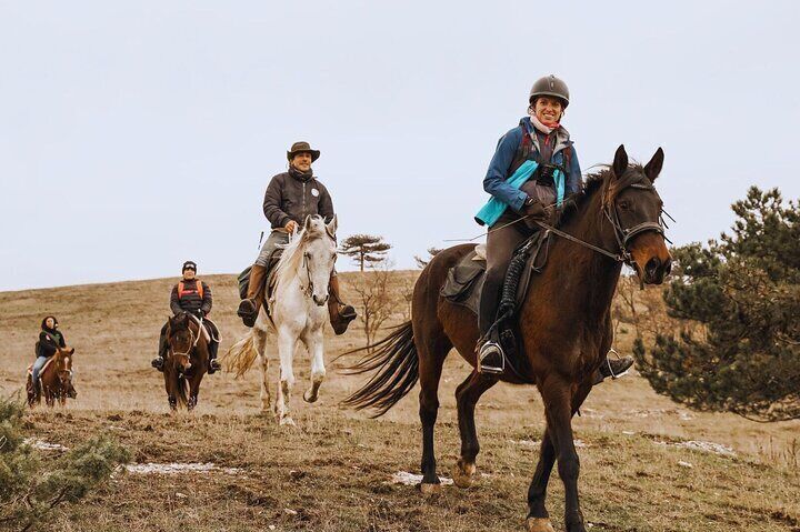 Admire free horses in wide pastures before your ride