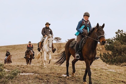 Urbino Horseback Riding Tour with Guide