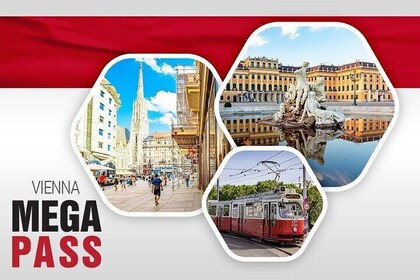 Vienna MegaCombo Tickets: Schönbrunn, Walking Tour & Transport