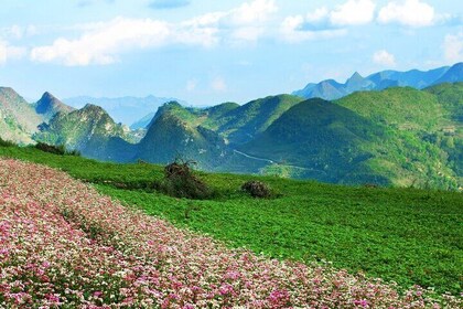 4 Days from Sapa to Ha Giang Loop Tour
