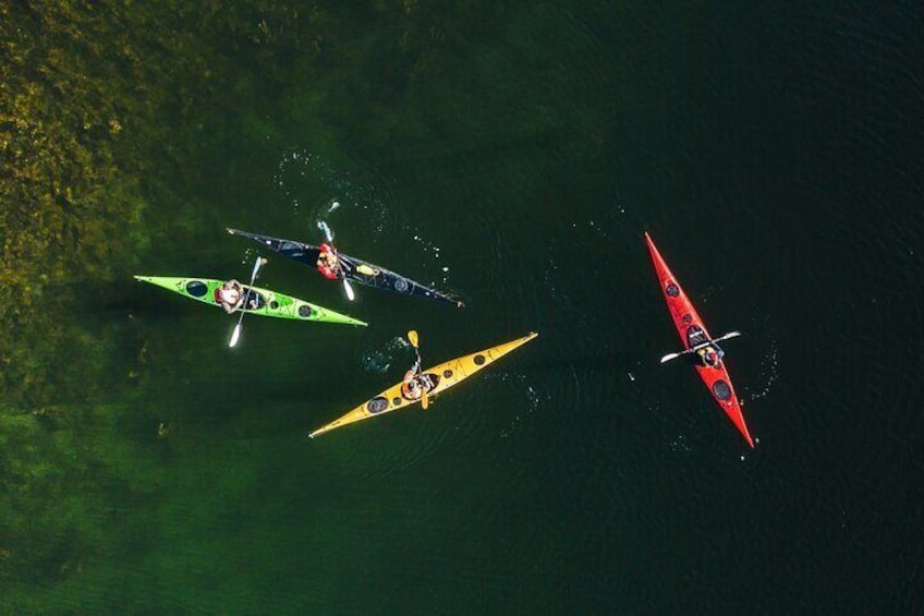 Full-Day Sea Kayaking Experience in Pargas