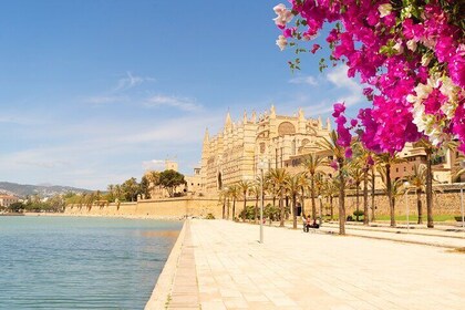 Discover Mallorca: Self-Guided Island Journey