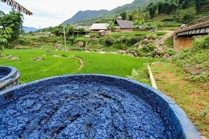 Indigo Dyeing Workshop in Sapa with H’Mong Artisans