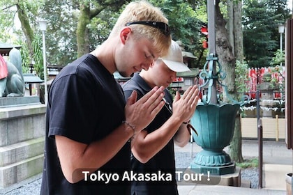 Tokyo Akasaka Experiences Only Local Guides Know