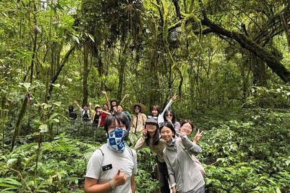 Munduk Twin Lake Trekking and Canoing