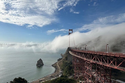 Muir Woods and Sausalito Tour 5 Hours of Natural Beauty