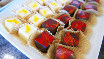Arctic Day: Yukon Foodie Half-Day Tour