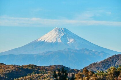 Historic Shuzenji Village with Secret Mt Fuji Views from Tokyo
