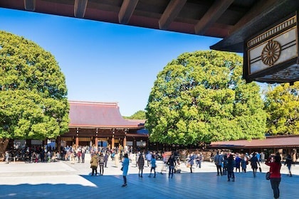 Tokyo Morning City Tour with Pick-up Service from 28 Hotels