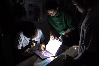 Steal The Crown Escape Room Experiences