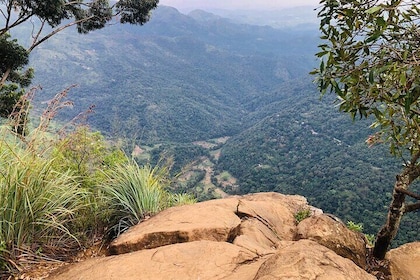 Outdoor and Sightseeing Tour in Ella with Lunch