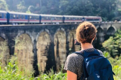 Outdoor and Sightseeing Tour in Ella with Lunch