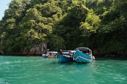 Langkawi Mangrove Tour Scenic Wildlife and Cave Exploration