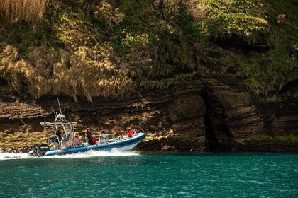 Snorkeling Tour around the Ilhéu DE Villa Franca do Campo