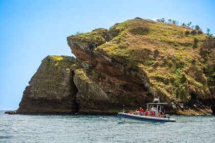 Sunset Chill – Relaxing Sunset Tour