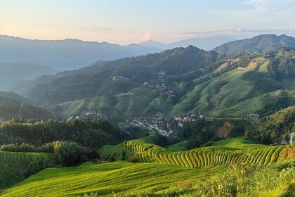 Longji Terraces Private Chartered Day Tour