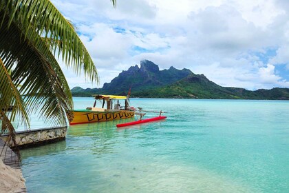 Bora Bora: 3/4 Day Private Lagoon Tour with Lunch&Snorkeling