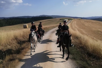Tuscany Horseback Riding Experience in Buonconvento