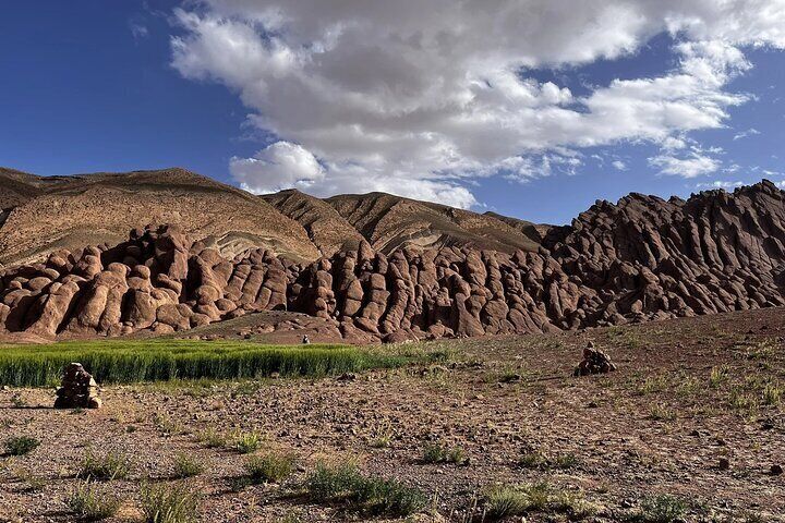 circuit DE canyon mokey fingers