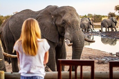 7 Days 6 Nights Kenya Wilderness Explorer Tour