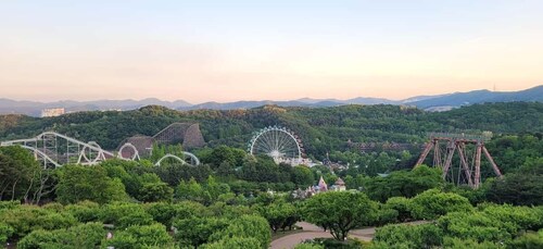 Seoul: Everland Theme Park Entry Ticket