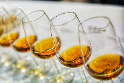 Pedro Ximenez Experience Wine & Tapas Tasting in Cordoba