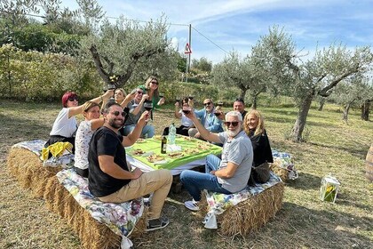 Umbria: Guided tour to Traditional Olive Oil Mill and Tasting