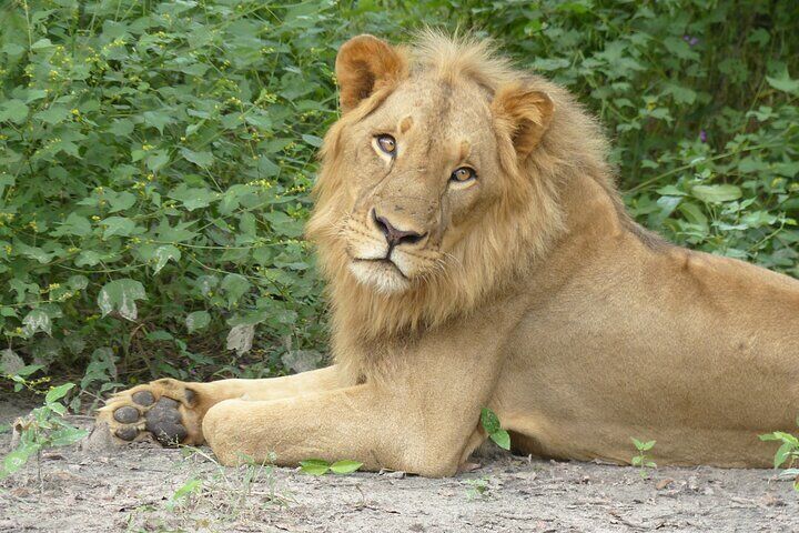 Private Full-Day Safari in Senegal from Banjul