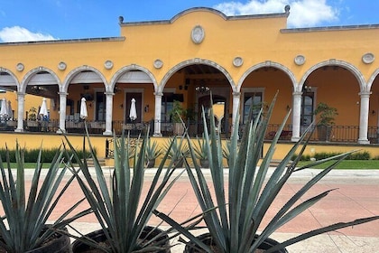 Secrets in Los Altos del Tequila