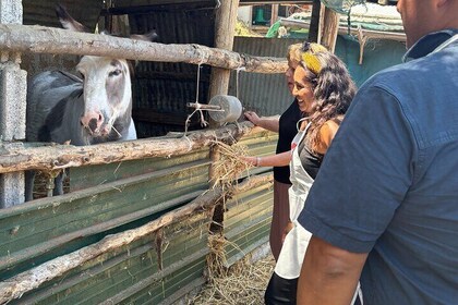 Authentic Farm-to-Table Experience: Make Pizza & Fresh Cheese