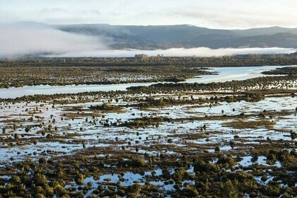 Custom Tour of the Lakes Region in Chile