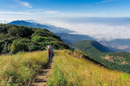 Private Doi Inthanon Tour with Trekking Pagodas and Waterfall